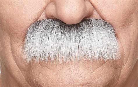 mustaches fake mustache  adhesive novelty grandpas false facial