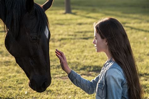 black beauty official trailer