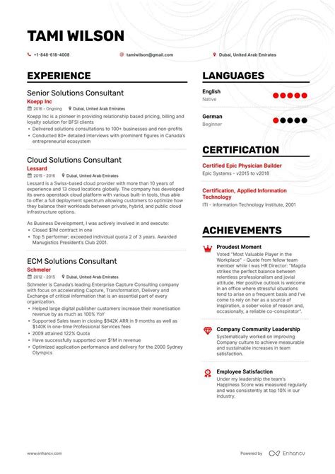 consultant resume valvet    consultant resume templates