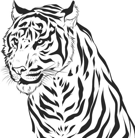 tiger coloring sheet coloringmecom