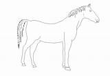 Block Horse Detail Cadbull Description sketch template