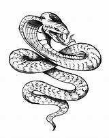 Cobra Tattoo King Drawing Coloring Pages Snake Tattoos Drawings Vorlagen Egyptian Sketch Schlange Königskobra Zeichnen Tattoovorlagen Rattlesnake Kobra Kostenlose Tribal sketch template