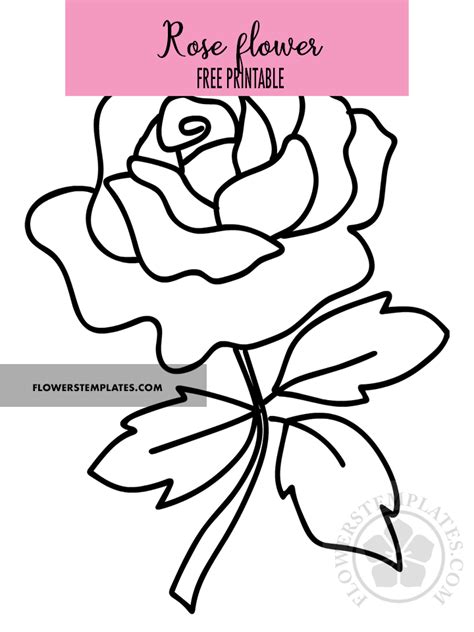 roses flowers templates