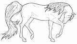 Arabian Appeal Horse Coloring Pages Choose Board Deviantart Horses Done sketch template