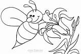 Bee Coloring Bumble Pages Honey Cute Queen Drawing Cartoon Color Outline Printable Beehive Bees Bumblebee Kids Easy Print Getcolorings Getdrawings sketch template