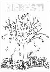 Herfst Kleurplaten Bomen Kleurplaat Automne Uitprinten Arbre Knutselen Downloaden sketch template