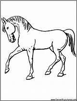 Coloring Horse Trot Fun Stencils Pages Printable sketch template