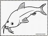 Ikan Mewarnai Lele Patin Sketsa Kartun Animasi Paud Louhan Binatang Colouring Bing Hewan Mudah sketch template