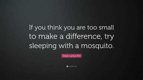 Dalai Lama Xiv Quote “if You Think You Are Too Small To