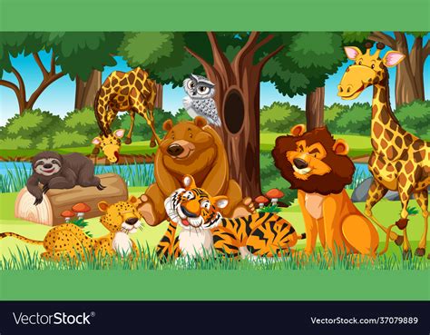 wild animals  jungle royalty  vector image