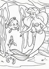 Ariel Ausmalbilder Flounder Arielle Walt Pequena Sereia Ausmalbild Malvorlagen Kostenlos Effortfulg Azcoloring Princesscoloring Letzte Malen Downloaden Uitprinten sketch template