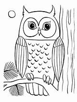 Coloring Owl Pages Printable Kids Owls Animals Color Horned Great Getdrawings Getcolorings sketch template
