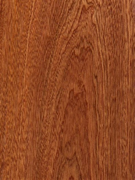 sapele hardwood flooring  carpet vidalondon