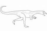 Velociraptor Ausmalbilder Dinossauro Dinosaurio Colorare Dinosaurier Ausmalbild Raptor Troodon Disegno Disegnare Ausdrucken sketch template