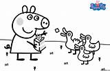 Peppa Pig Coloring Colouring Pages Cartoon Printable Color Print Printables Birthday Ducks Visit Read Peppapig Books sketch template
