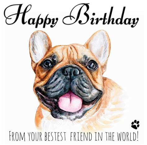 happy birthday card   dog french bulldog frenchie pet love