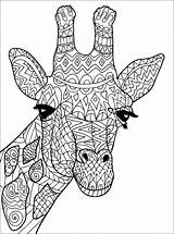 Girafe Colorier Tete Coloriages Girafes Tigre Difficiles sketch template