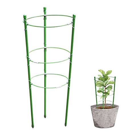 plant cages supports buying guide gistgear