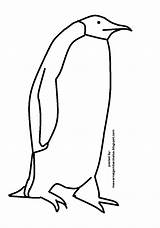 Mewarnai Pinguin Sketsa Hewan Terpopuler Binatang sketch template