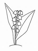 Lily Valley Coloring Pages Flower Flowers Printable Recommended Color sketch template