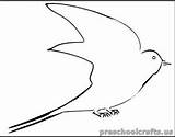Swallow Coloring Pages Kids sketch template