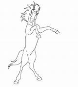 Lineart Rearing Horse sketch template