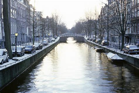 february  amsterdam weather  event guide