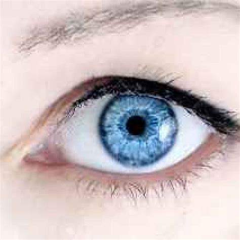le persone  gli occhi azzurri hanno  antenato comune occhi