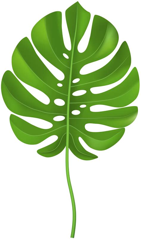 tropical palm leaf transparent png clip art image gallery