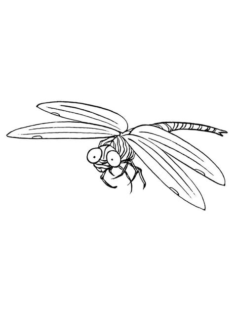 dragonfly coloring pages