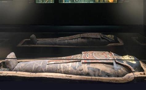 Ct Scans Of Mummy Of An Ancient Priest Reveal He Was