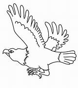 Aigle Aquile Eagles Adler Aguilas Stampare Obama Aguila águila Obamacare Barack Scaricare Coloringhome Oiseau Atuttodonna sketch template