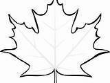 Maple Leaf Coloring Getcolorings Getdrawings Pages sketch template