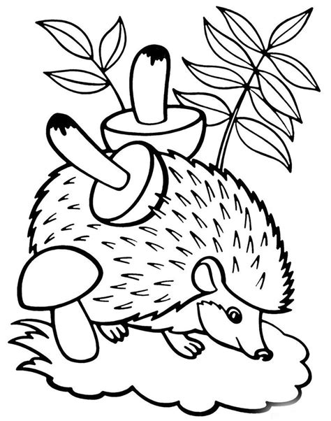 woodland animals coloring pages png  file