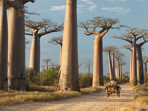 beautiful places  africa  conde nast traveler