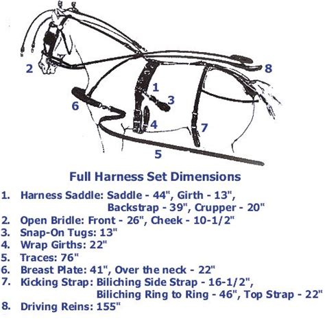 horse drawn wagon parts diagram  diagram  student