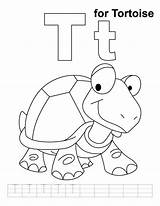 Tortoise Letter Handwriting Colouring Phonics sketch template