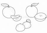 Mandarijn Sinaasappel Appel sketch template