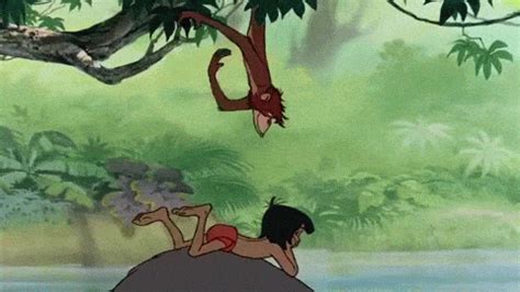 pin  kelly peters  kaa  mowgli mowgli jungle book cartoon gifs