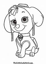 Paw Patrol Rocky Coloring Pages Getcolorings Printable Col Print Color sketch template