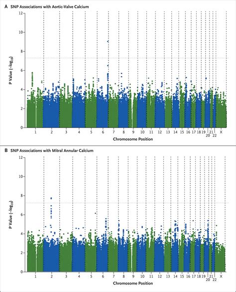 Genetic Associations With Valvular Calcification And Aortic Stenosis Nejm