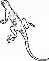 Coloring Pages Lizard Coloring4free Printable Kids Related Posts sketch template