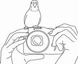 Coloring Pages Parakeet Clarabelle Popular Template Weebly sketch template