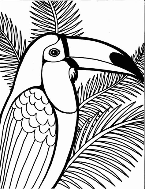 parrot coloring pages  adults  getdrawings
