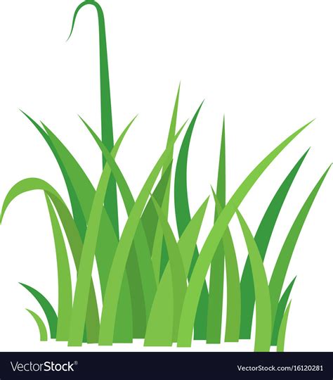 fragment   green grass royalty  vector image