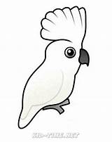 Bird Cockatoo Umber Phonics sketch template
