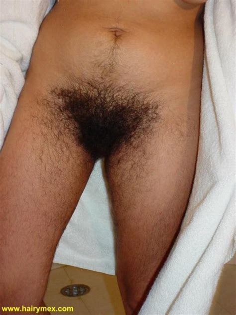 n a04 in gallery hairy mexican woman picture 4 uploaded by