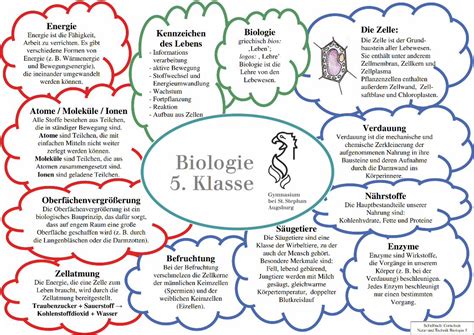 grundwissen biologie  klasse st stephande biologie