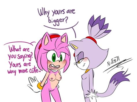 Rule 34 Amy Rose Blaze The Cat Breasts Dialogue Female Furry Nino5571