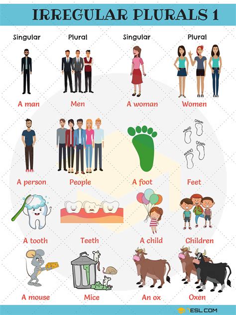 irregular plural nouns important rules lists  examples esl